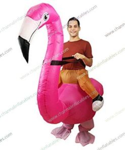 inflatable flamingo riding costume