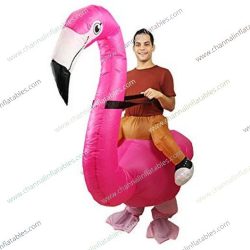 inflatable flamingo riding costume