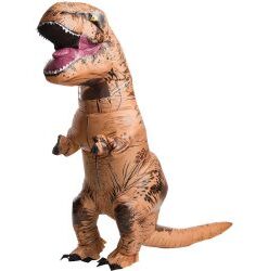 Inflatable Costumes